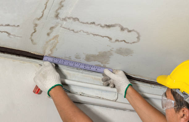 Reliable Water Damage Repair contractor in Grandin, ND by Hirex Water Damage